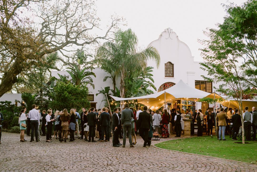 audrey cat sitting blagnac garde de chat à domicile